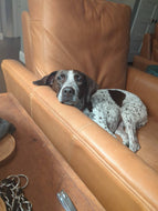 Remington (Austin)