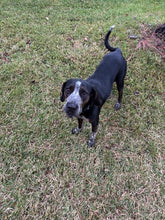 Load image into Gallery viewer, Storm (DFW)