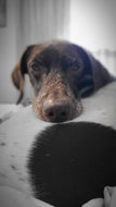 Marty (DFW)