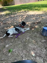 Load image into Gallery viewer, Courtesy Post Pepper (Crockett TX)
