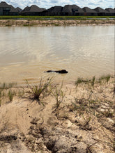 Load image into Gallery viewer, Shivers (Lake Charles)