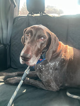 Load image into Gallery viewer, Riley (LA)
