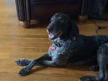 Load image into Gallery viewer, Annabell (New Orleans)