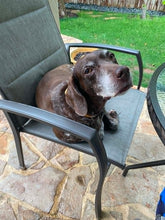 Load image into Gallery viewer, Birdie (San Antonio)