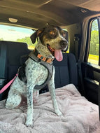 Courtesy Post Pepper (Crockett TX)
