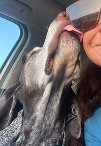 Fritz (Dripping Springs)