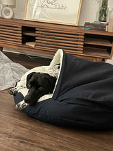 Load image into Gallery viewer, Georgie - Courtesy Post (Austin)