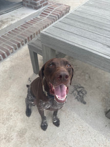 Gunner (Louisiana)