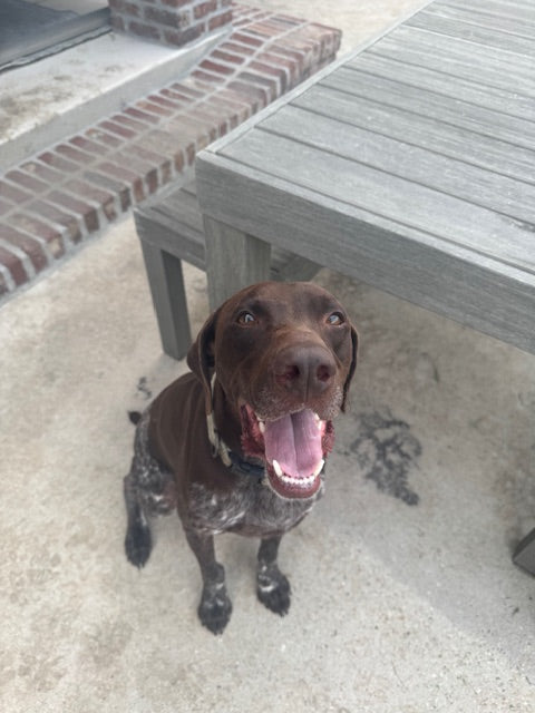 Gunner (Louisiana)