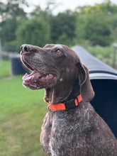 Load image into Gallery viewer, Nyah (College Station)