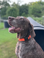 Nyah (College Station)