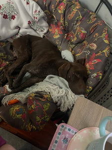 Mowgli (New Orleans)