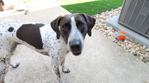 Remington (Austin)