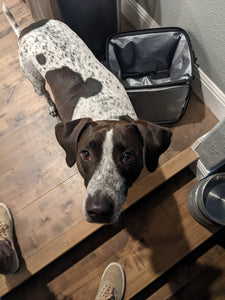 Remington (Austin)