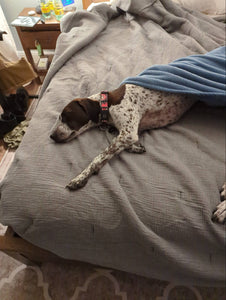 Remington (Austin)