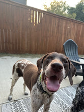 Load image into Gallery viewer, Boone (Fort Worth)