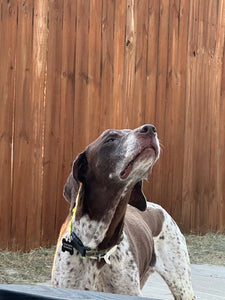 Boone (Fort Worth)