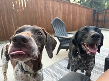 Load image into Gallery viewer, Boone (Fort Worth)