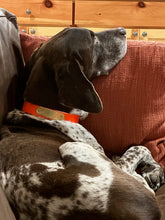 Load image into Gallery viewer, Boone (Fort Worth)
