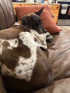 Boone (Fort Worth)