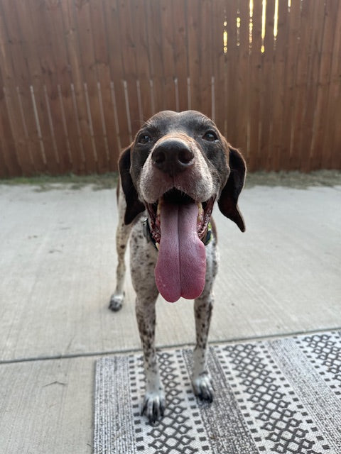 Boone (Fort Worth)