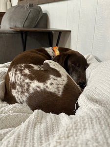 Boone (Fort Worth)