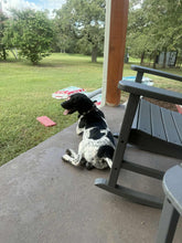 Load image into Gallery viewer, Jett (Austin)