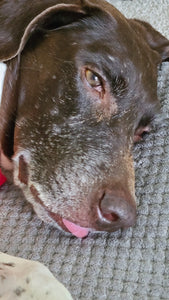 Marty (DFW)
