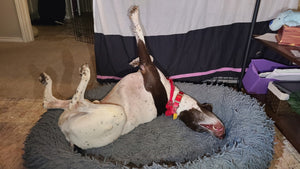 Marty (DFW)