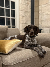 Load image into Gallery viewer, Millie (Houston)