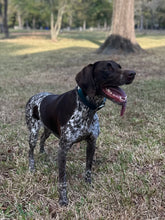 Load image into Gallery viewer, Millie (Houston)