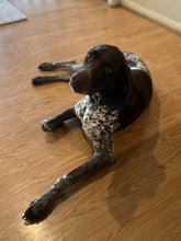 Load image into Gallery viewer, Millie (Houston)