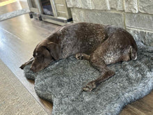 Load image into Gallery viewer, Nyah (College Station)