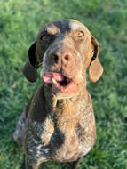 Nyah (College Station)