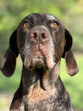 Load image into Gallery viewer, Nyah (College Station)