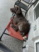 Load image into Gallery viewer, Nyah (College Station)