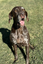 Load image into Gallery viewer, Nyah (College Station)