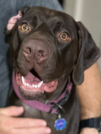 Courtesy Post - Olivia - DFW