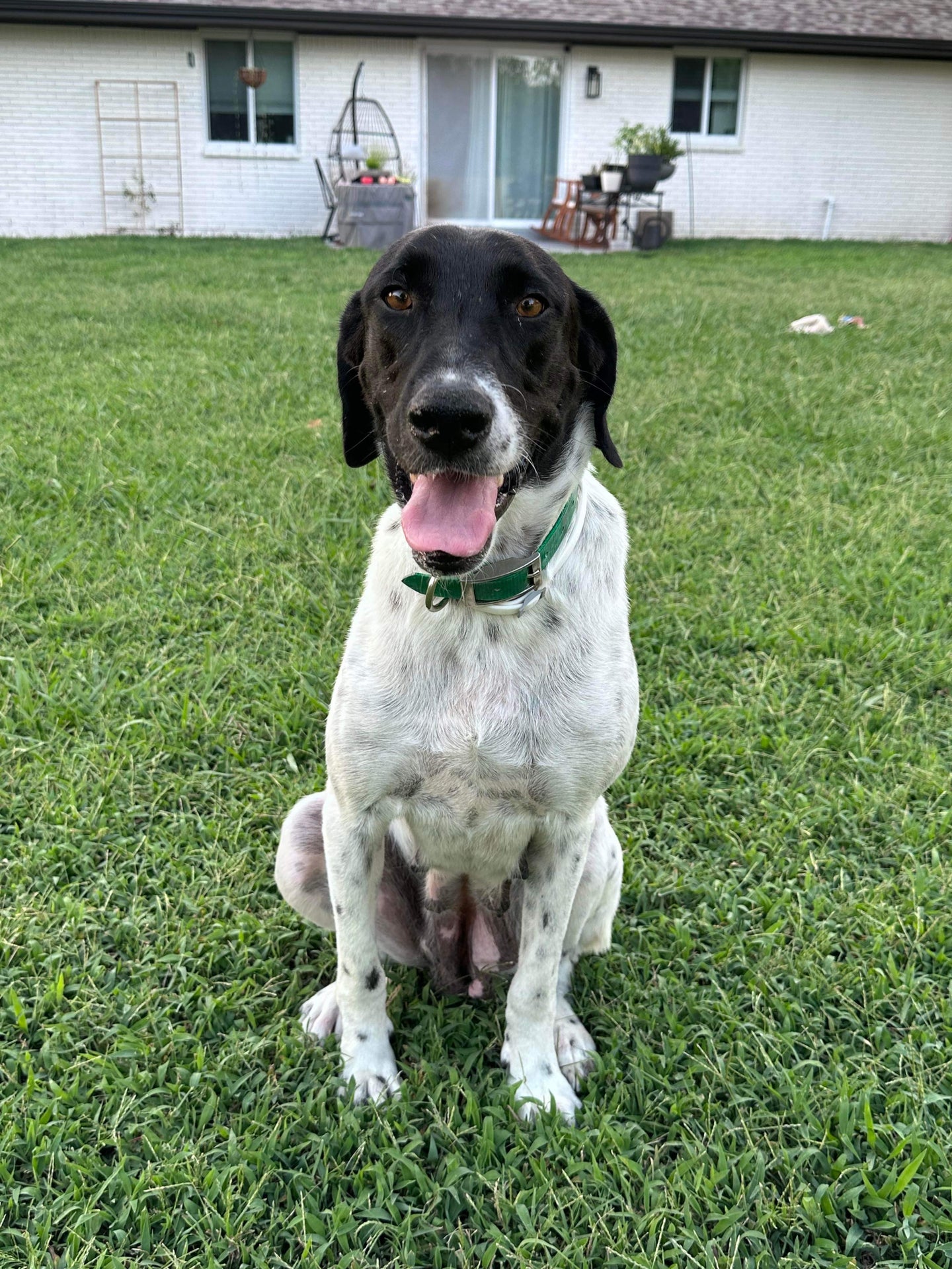 Pepper (Tulsa)