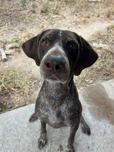 Load image into Gallery viewer, Russell (South Texas)