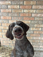 Russell (South Texas)- Courtesy Post