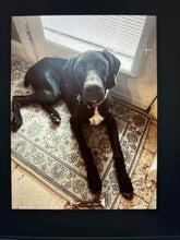Load image into Gallery viewer, Serena (Houston) Courtesy Post