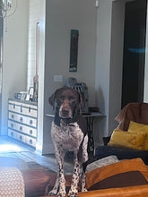 Load image into Gallery viewer, Seven (Louisiana)