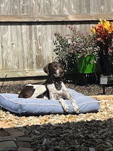 Load image into Gallery viewer, Seven (Louisiana)