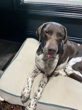 Load image into Gallery viewer, Seven (Louisiana)