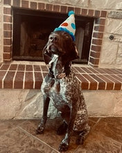 Load image into Gallery viewer, Siren (New Braunfels)