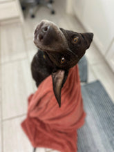 Load image into Gallery viewer, Tina (Houston)