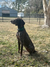 Load image into Gallery viewer, Tina (Houston)