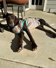 Load image into Gallery viewer, Tina (Houston)