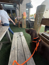 Load image into Gallery viewer, Wilbur (Dallas)